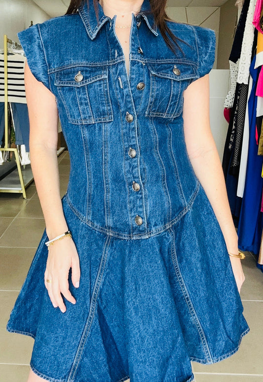 Button Down Denim Dress